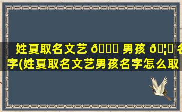 姓夏取名文艺 🐛 男孩 🦁 名字(姓夏取名文艺男孩名字怎么取)